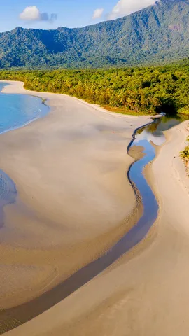 緑の熱帯雨林と紺碧の海