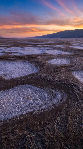 This park is worth its salt