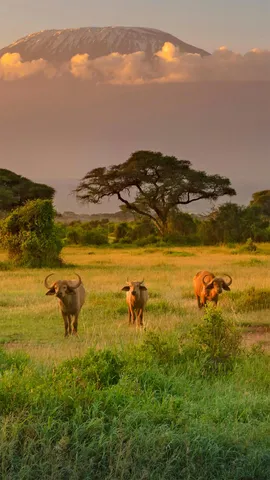 一个关于可持续发展的实验