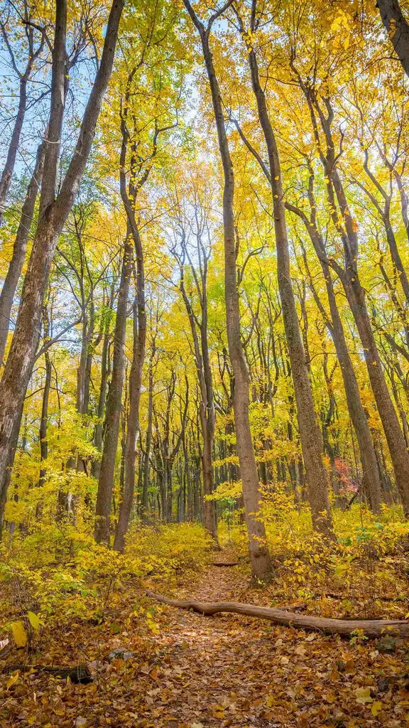 Senderos oto&ntilde;ales