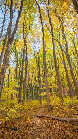 Shenandoah National Park, Virginia, United States