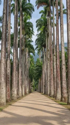 Tradi&ccedil;&atilde;o po&eacute;tica brasileira