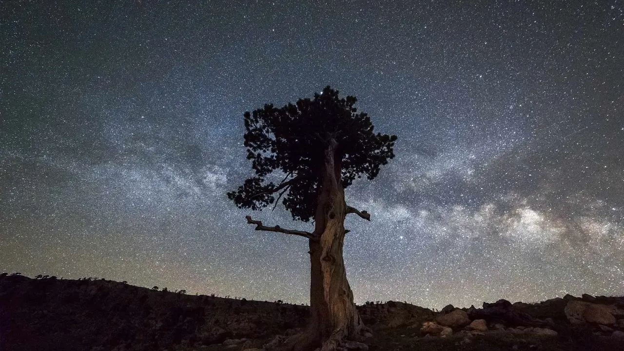 Si chiama Pino... ma non &egrave; tuo cugino!