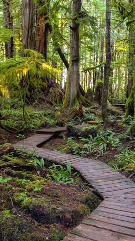 Ein geheimnisvoller Pfad