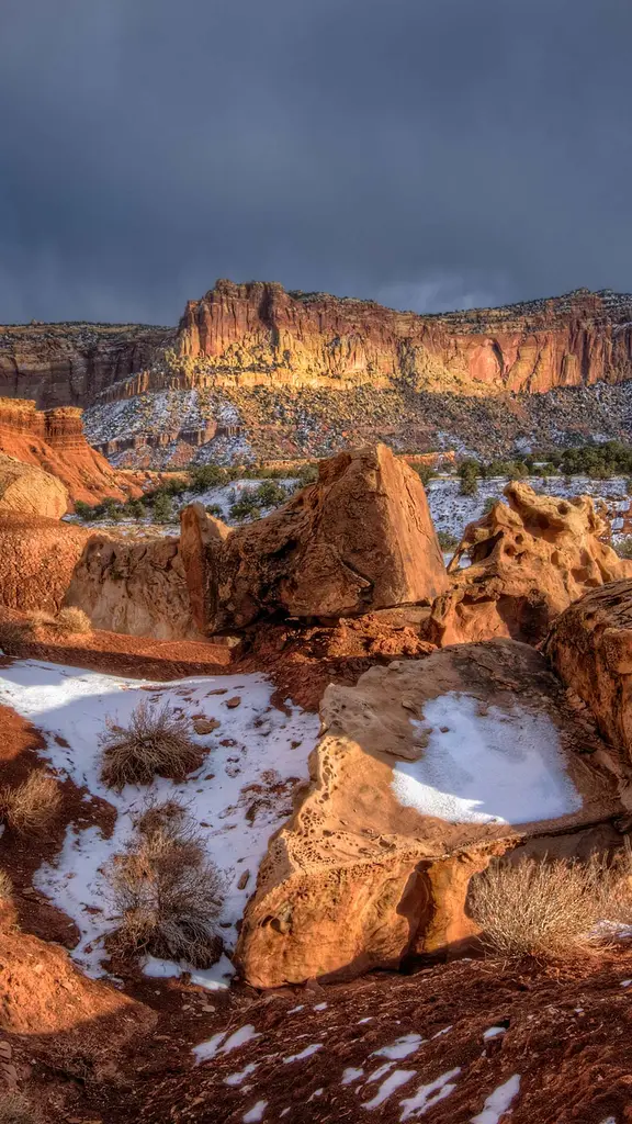 &iexcl;Frescura blanca!