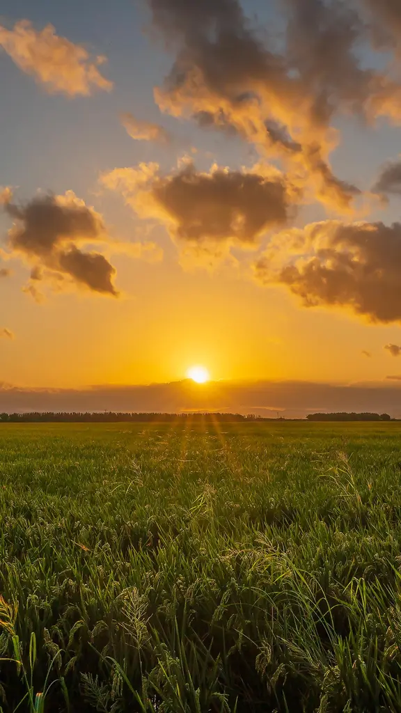 &iexcl;No es pa' ella, es pa' m&iacute;!